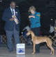 This is Lehigh Valley Kennel Club on 11 December 2004 Best of Breed.