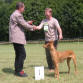 Specialty Clubmatch NVOW, 26-06-2004, Lelystad BOB, Best bitch, CAC and #4 overall in the Match / taking the winnings