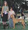 Photo was taken at the Kenosha kennel club show and Nuon took Breed. The site states Elgin and having him taking BOB