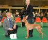 Shema's Mia Mystic Excaliber, May 2007 / New NL Champion