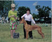 6/3/06 BOB at the Fox River Valley Kennel Club show in Woodstock, IL McGinnis was the judge.